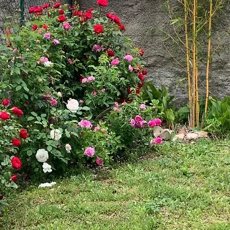 La Bergerie * Domessargues