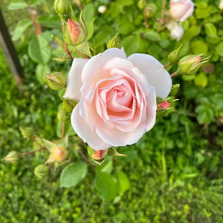 La Bergerie بيت للعطل *