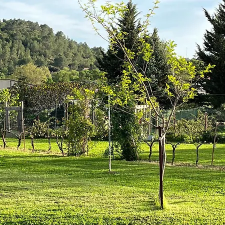 La Bergerie Holiday home Domessargues